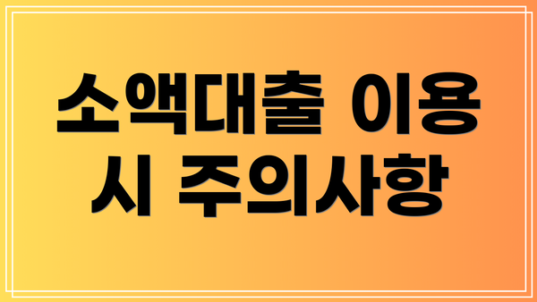 소액대출 이용 시 주의사항