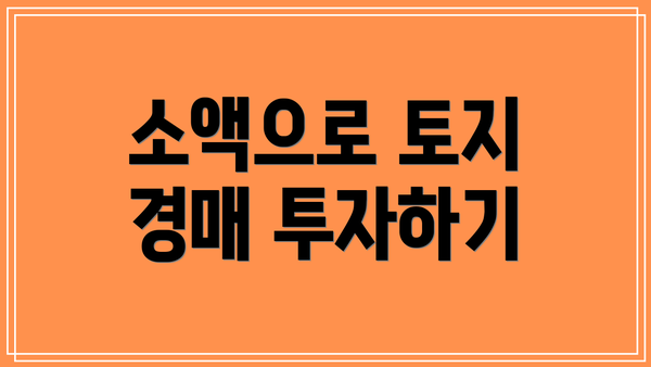 소액으로 토지 경매 투자하기