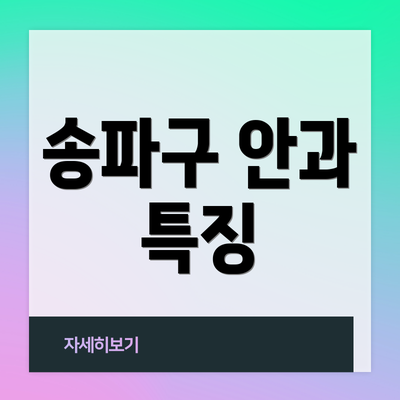 송파구 안과 특징