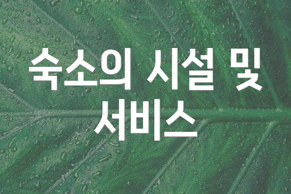 숙소의 시설 및 서비스