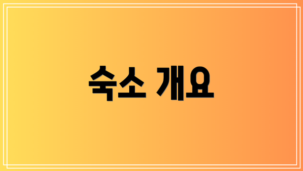 숙소 개요