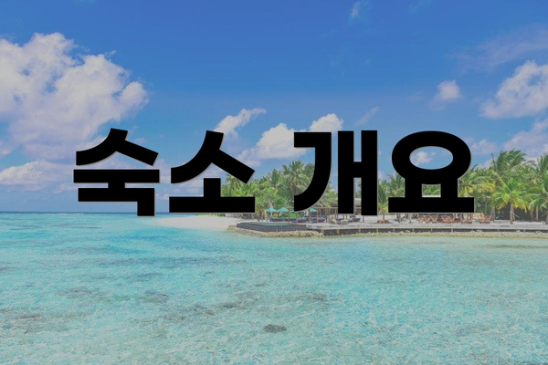 숙소 개요