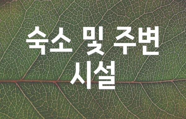 숙소 및 주변 시설