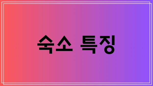 숙소 특징