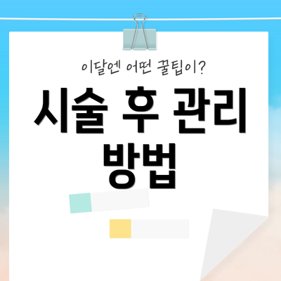 시술 후 관리 방법