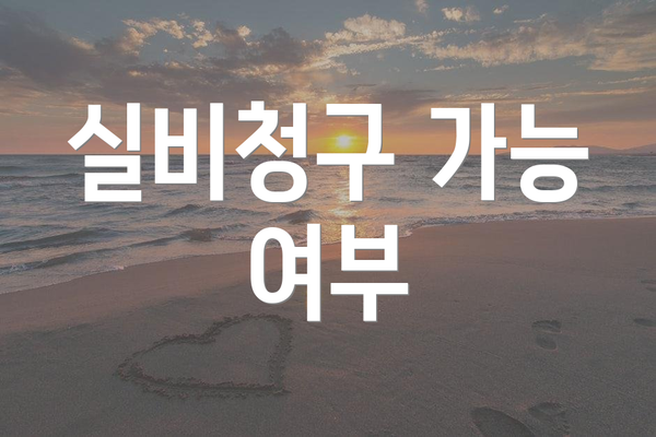 실비청구 가능 여부