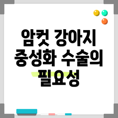 암컷 강아지 중성화 수술의 필요성