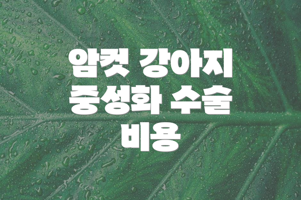 암컷 강아지 중성화 수술 비용