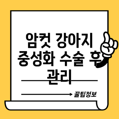 암컷 강아지 중성화 수술 후 관리
