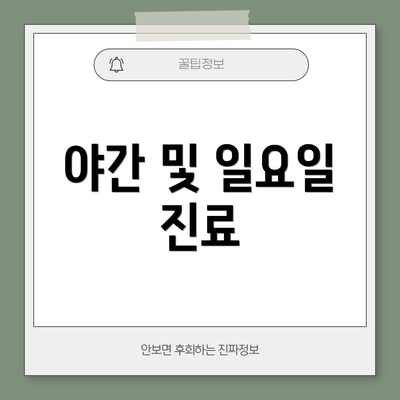 야간 및 일요일 진료