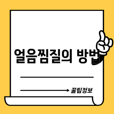 얼음찜질의 방법