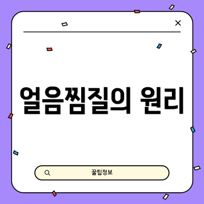얼음찜질의 원리