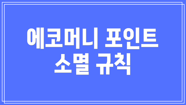 에코머니 포인트 소멸 규칙