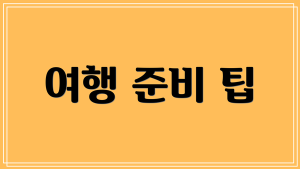 여행 준비 팁