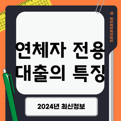 연체자 전용 대출의 특징