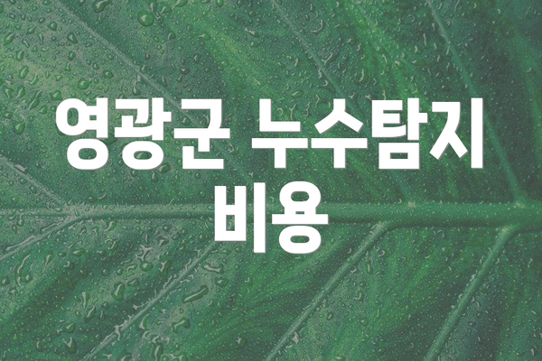 영광군 누수탐지 비용