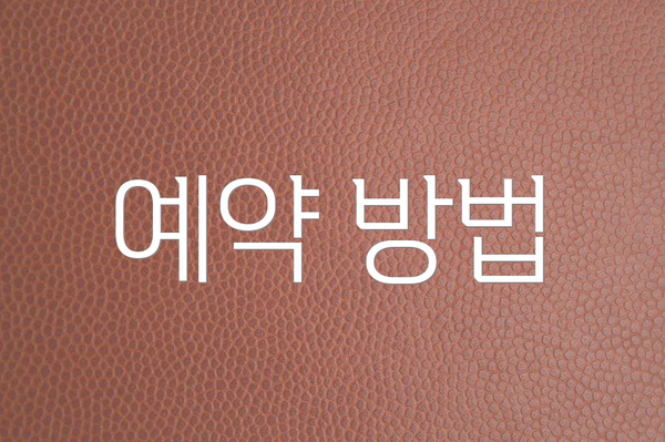 예약 방법