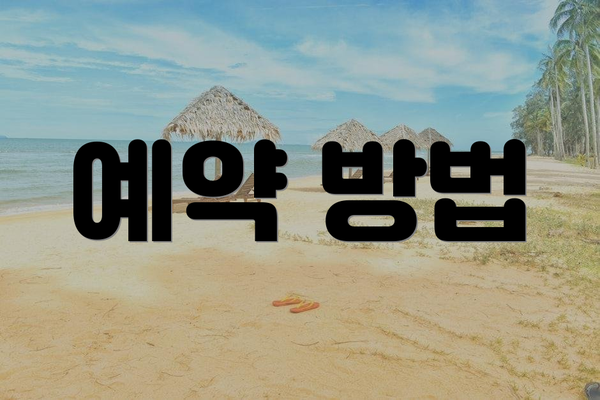 예약 방법