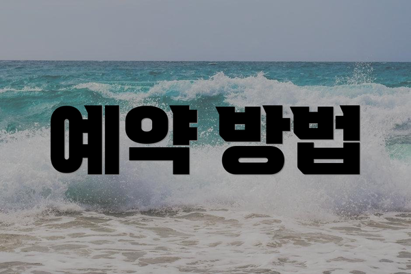 예약 방법