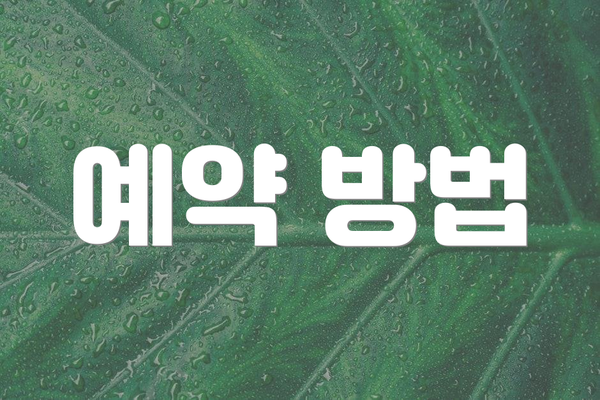 예약 방법