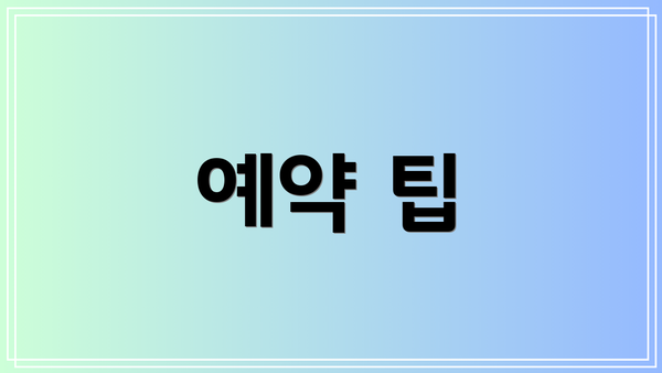 예약 팁