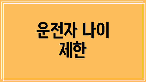운전자 나이 제한