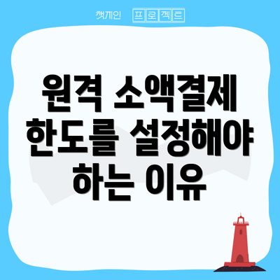 원격 소액결제 한도를 설정해야 하는 이유