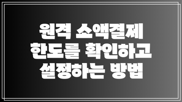 원격 소액결제 한도를 확인하고 설정하는 방법