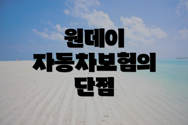 원데이 자동차보험의 단점