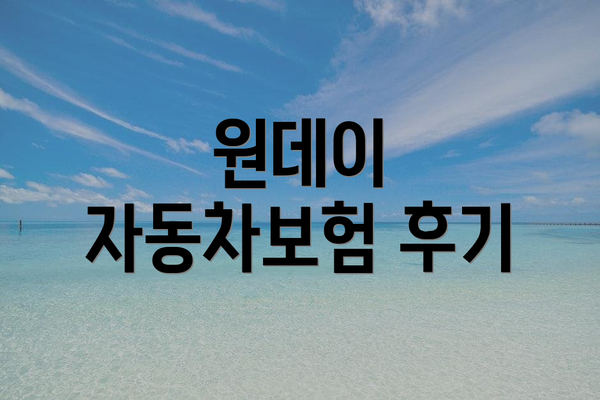 원데이 자동차보험 후기
