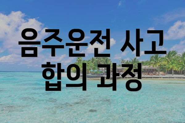 음주운전 사고 합의 과정