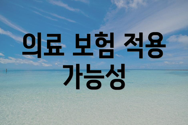 의료 보험 적용 가능성