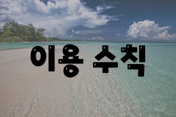 이용 수칙