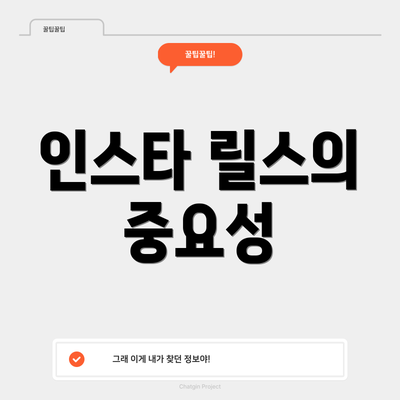 인스타 릴스의 중요성