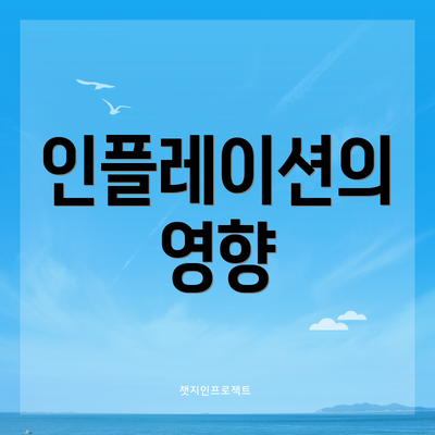 인플레이션의 영향