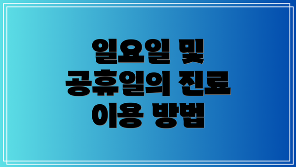 일요일 및 공휴일의 진료 이용 방법