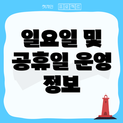 일요일 및 공휴일 운영 정보