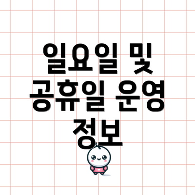 일요일 및 공휴일 운영 정보