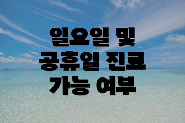 일요일 및 공휴일 진료 가능 여부