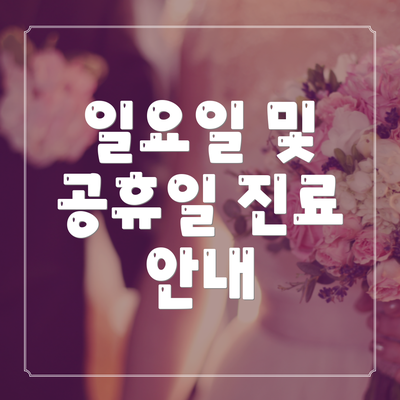 일요일 및 공휴일 진료 안내