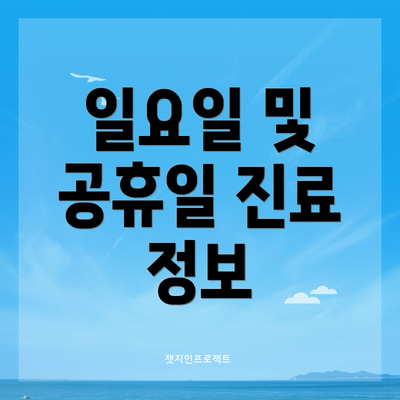 일요일 및 공휴일 진료 정보