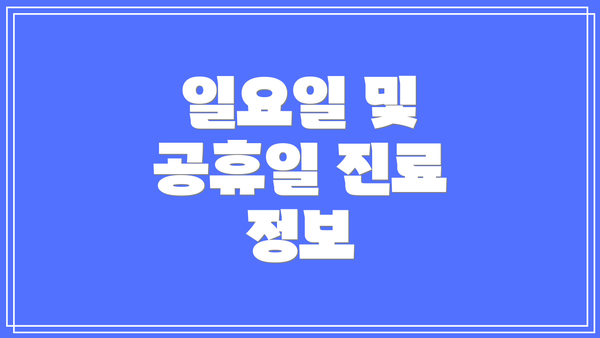 일요일 및 공휴일 진료 정보