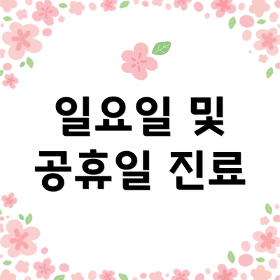 일요일 및 공휴일 진료