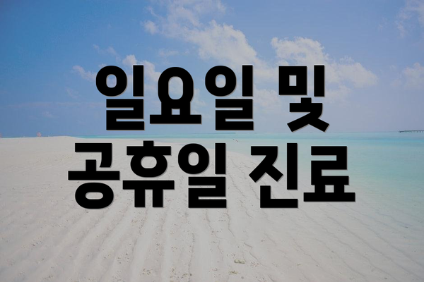 일요일 및 공휴일 진료