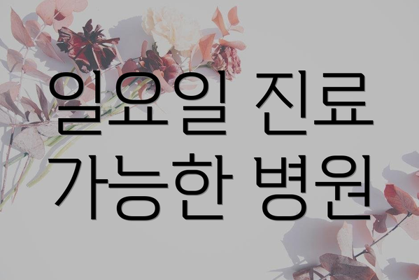 일요일 진료 가능한 병원