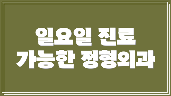 일요일 진료 가능한 정형외과