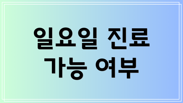 일요일 진료 가능 여부