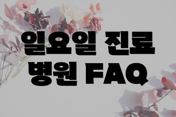 일요일 진료 병원 FAQ