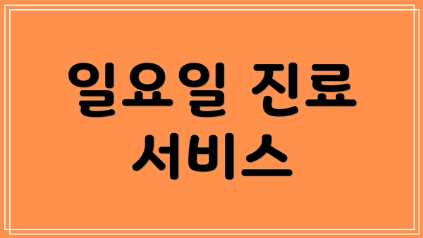 일요일 진료 서비스