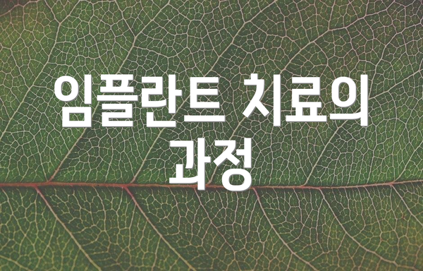 임플란트 치료의 과정